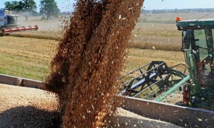 Acuerdan Rusia y Turquía, suministro de 1 millón de toneladas de granos