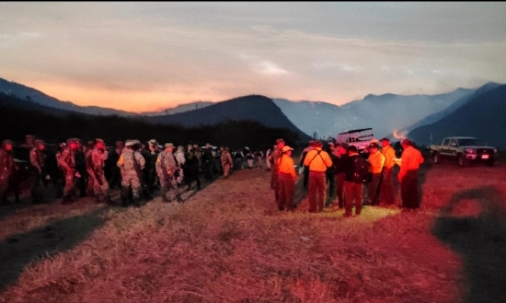 620 hectáreas afectadas por incendios en Altas Montañas; avanzan labores de control y liquidación