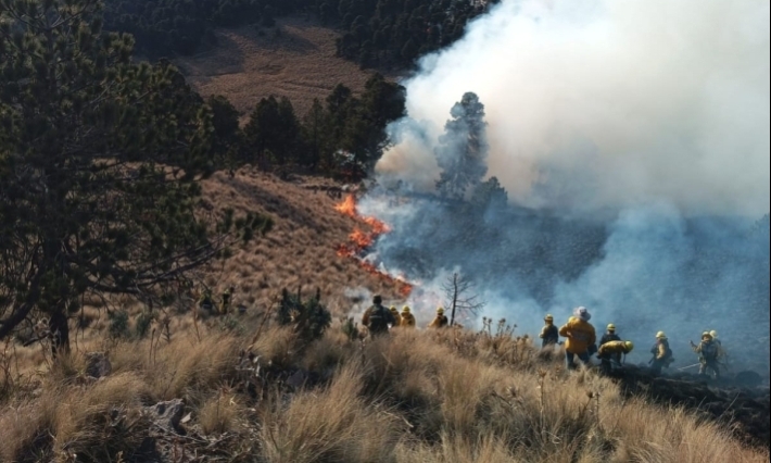 Hay 120 incendios forestales activos en el país: Conafor
