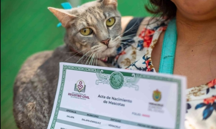 Se lleva a cabo Registro de Nacimiento de Mascotas en Xalapa