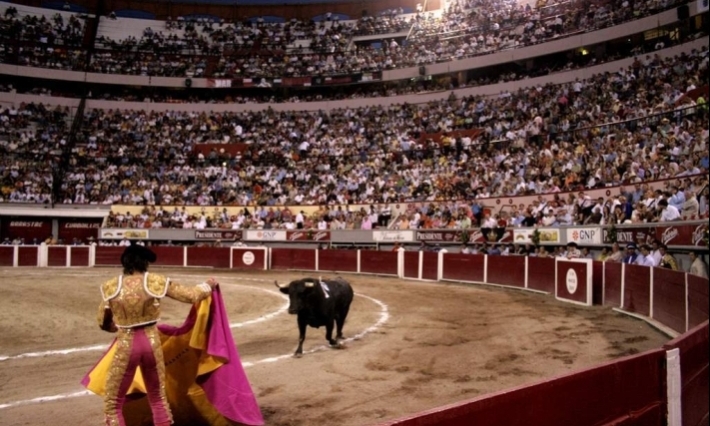 Jueza federal frena corridas de toros en la Plaza México por tercera vez