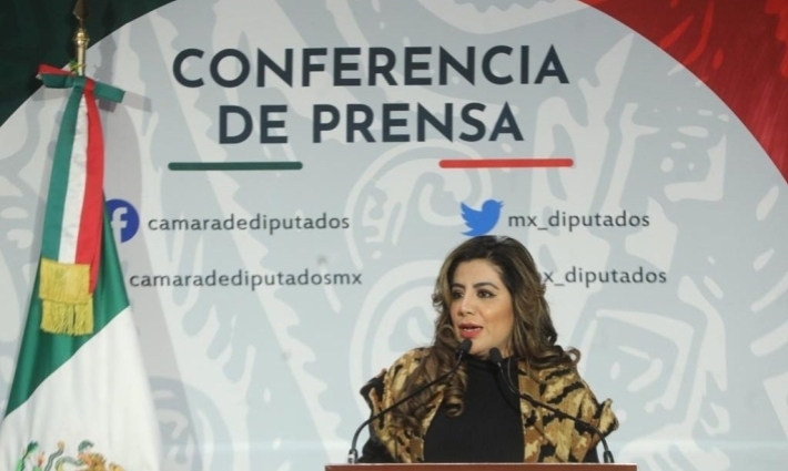 Rocío Nahle enreda a su yerno en negocios corruptos, millonarios: Lorena Piñón Rivera