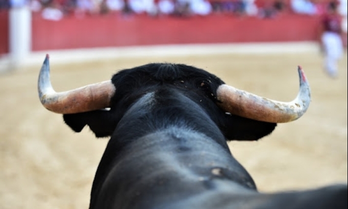 Jueza rechaza suspensión indefinida de corridas de toros en Ciudad de México