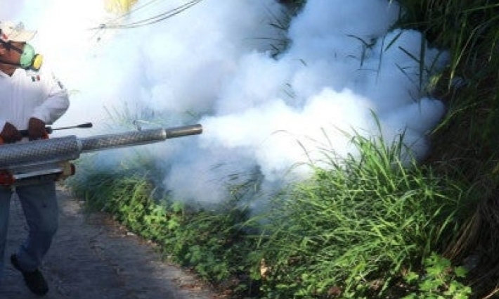 Presenta Salud Plan Nacional contra el Dengue; suman 18 muertes en 2025