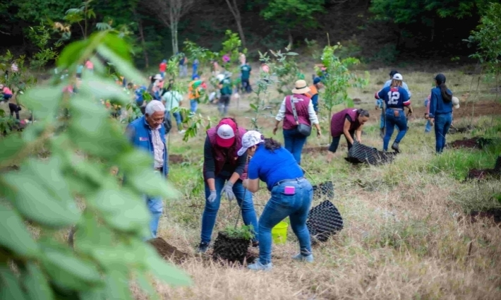 En el Día del Medio Ambiente inicia campaña de Reforestación 2025