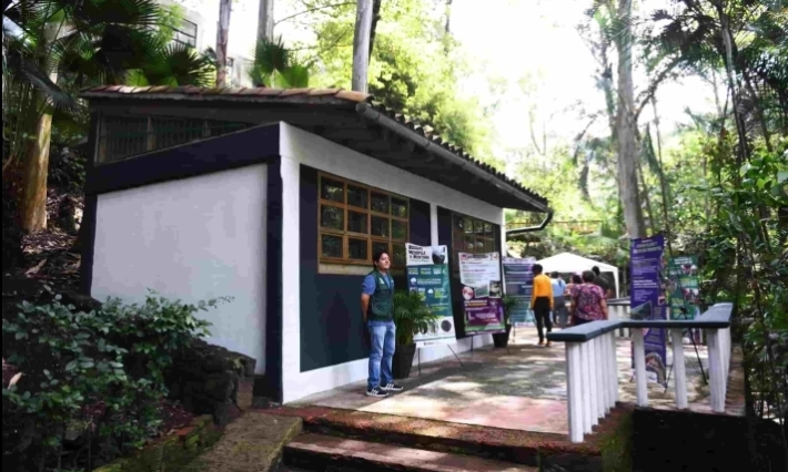 Vive Xalapa un sábado verde con actividades por el medio ambiente